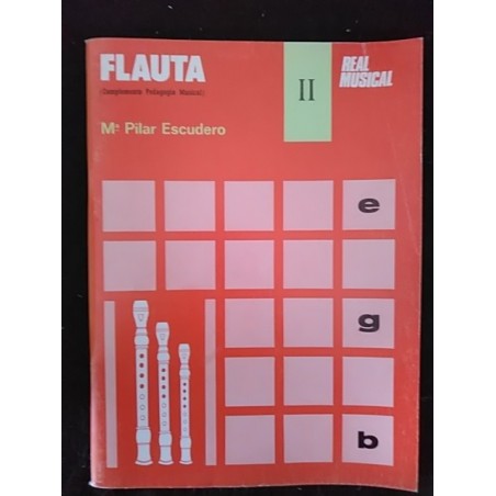 FLAUTA II (Complemento pedagogía musical)