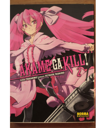 Akame Ga Kill 2